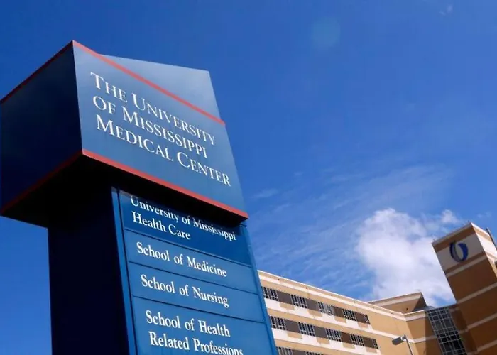 Short Walk To Jsu Stadium, Hospitals, And Bars In Fondren