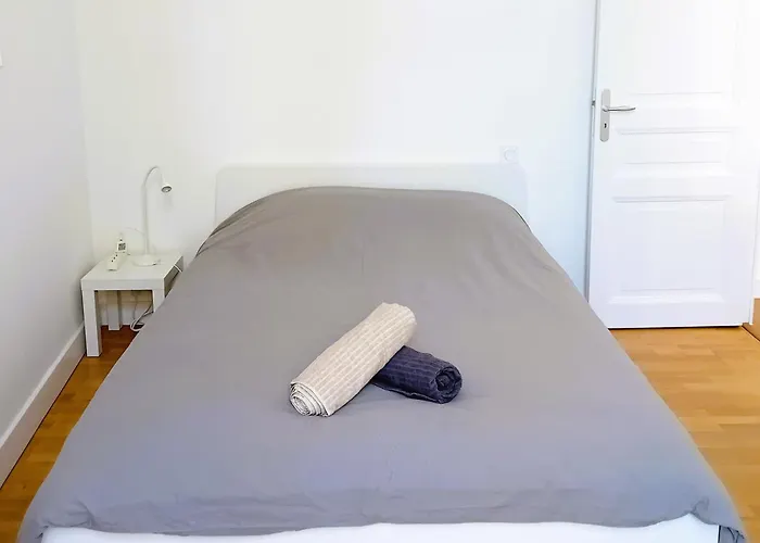 101 - Appart rénové avec 1 chambre spacieuse - Tram et Clinique Mutualiste à 1 min