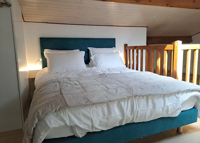 Maisonnette Au Milieu Des Pins
