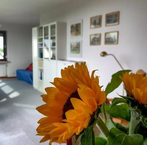 Cosy Apartments Mit Traumblick