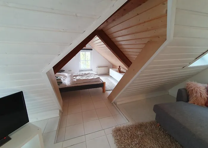 Zentrale Dachwohnung In Sha