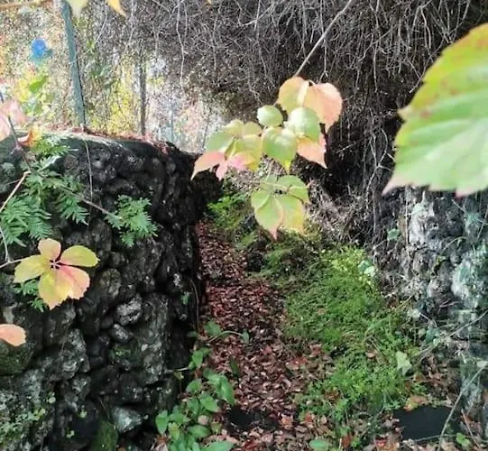 Casa Ultreia, Appartamento