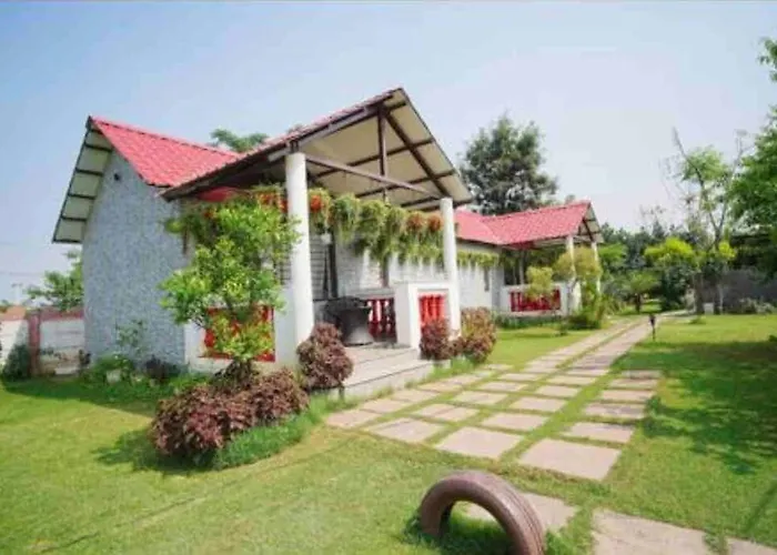 Achal Farm