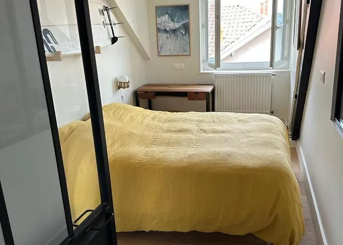 Superbe Appartement Plein Centre De Biarritz