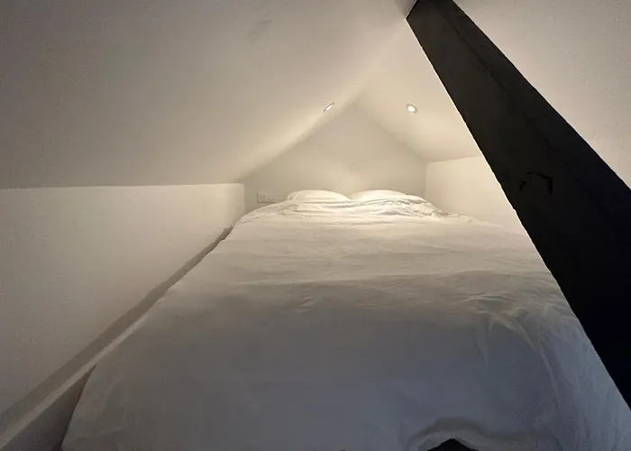 Superbe Appartement Plein Centre De Biarritz