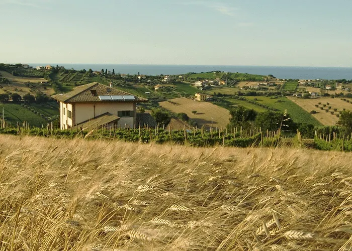 Cabina: L'Orso e L'Ape B&B