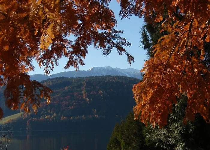 Ferienwohnungen Fischerhaus - Direkt Am See