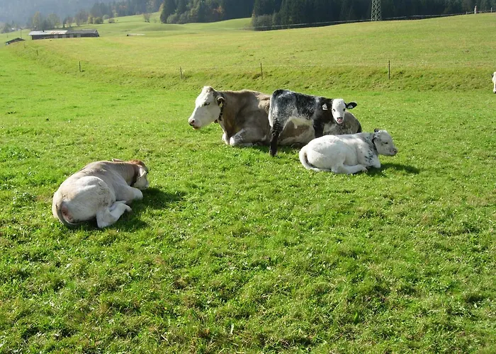 Biobauernhof Mittermoos