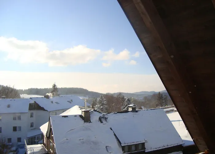 Appartement Am Skihang Altastenberg 1 Km Zum Skikarusell Winterberg