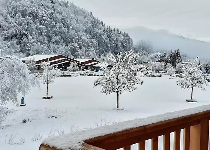 Saskya 5 65M2, 2 Bedrooms, Next To The Ski Lift