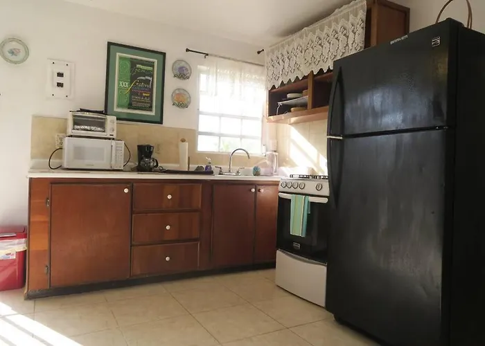 Oceanview Apartment With Garden Access