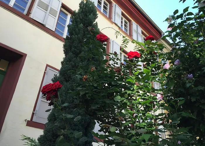 Im Herzen Der Altstadt