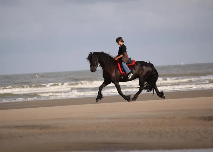  Escapade