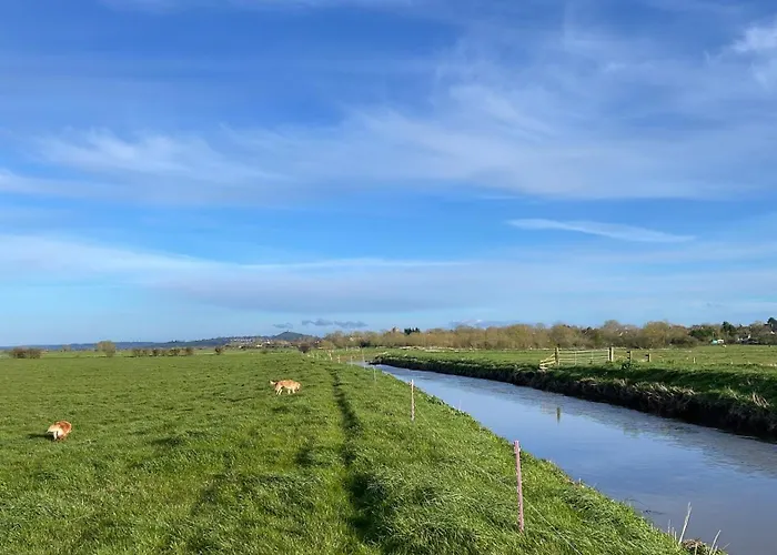 Conkers - A New Bespoke Rural Escape Near Glastonbury