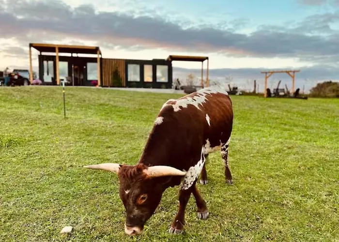 'Scenic Escapes' Romantic Pine Grove Getaway!