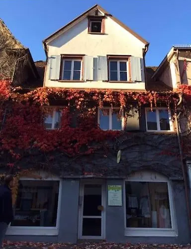 Geschmackvolles Dachstudio In Der Innenstadt