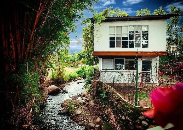 Rainforest Cabin In Escazu