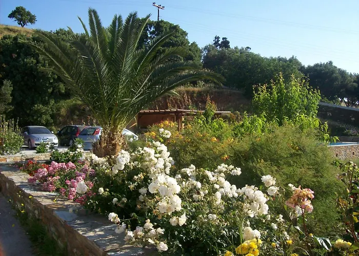 Vassiliki Studios