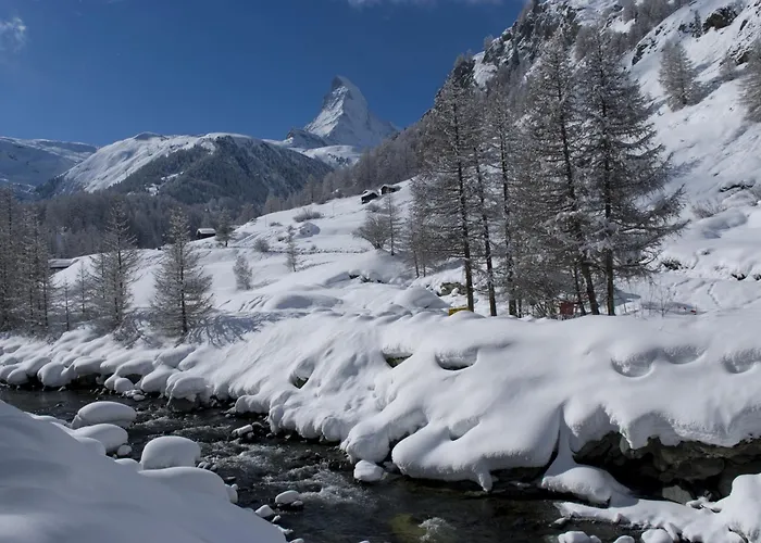Garni Testa Grigia