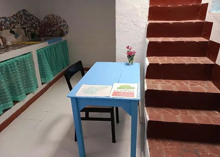 Casa-Arbol