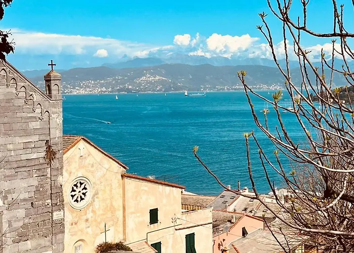 Vittoria 19