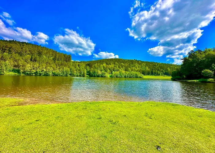 Apartment Joelle Mit Sauna, Schwimmteich Und Gym
