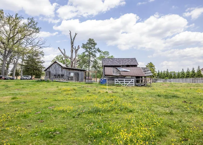Watch Deer From A Farm Cottage