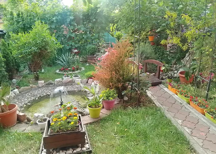Studio Mini Lux