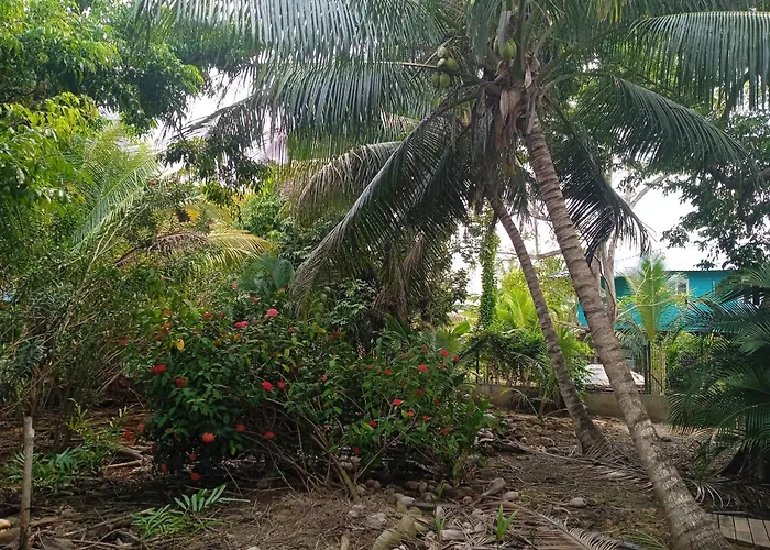 Cabana En La Selva