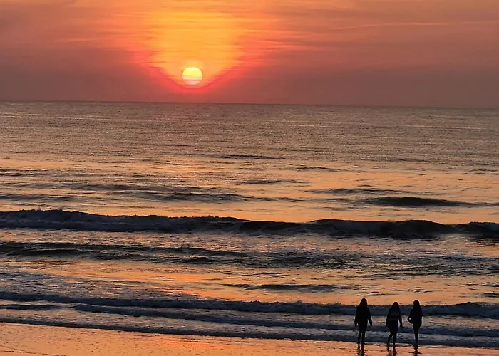 A1A Brownwaves