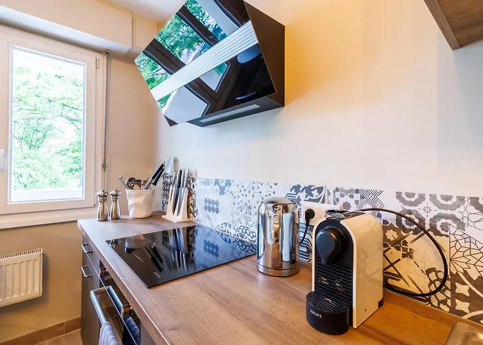 Appartement Moderne Pres De Geneve