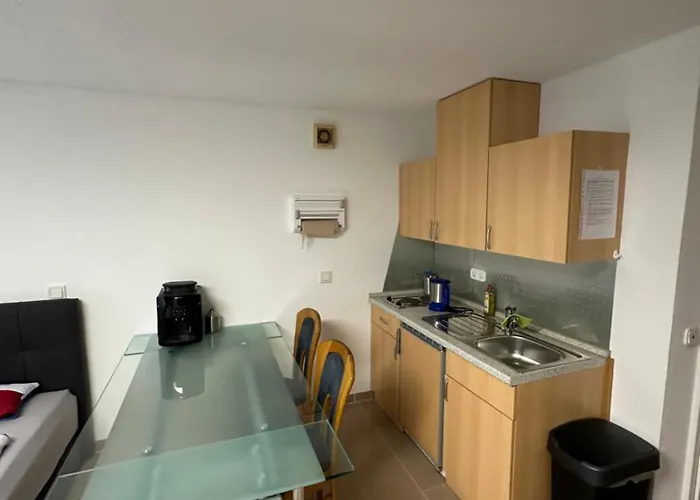 Zentrale Wohnung Naehe Breisach Am Rhein