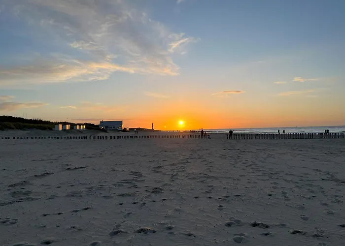 Ferienhaus Carpe Diem Schoneveld - Breskens - Urlaub Mit Hund