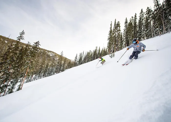 Ski-In Ski-Out 3Br 3,5Ba Forest Mountain Views, Sleeps 8