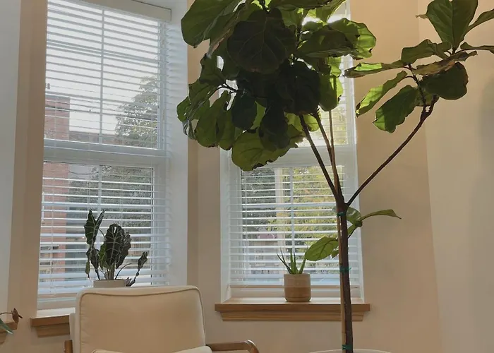 Beautiful Apartment Shared With The Host In The Heart Of Bushwick