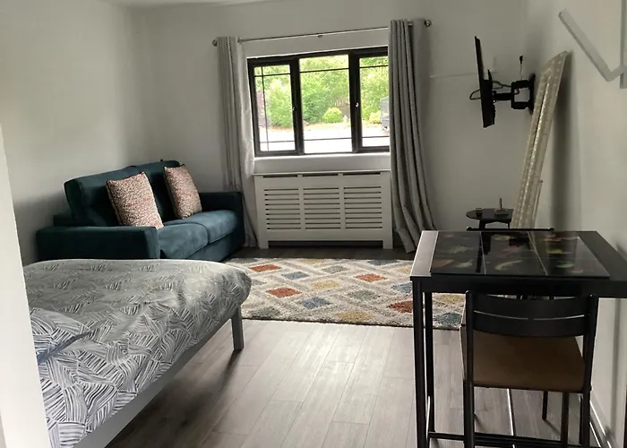 Studio Apartment To Rent