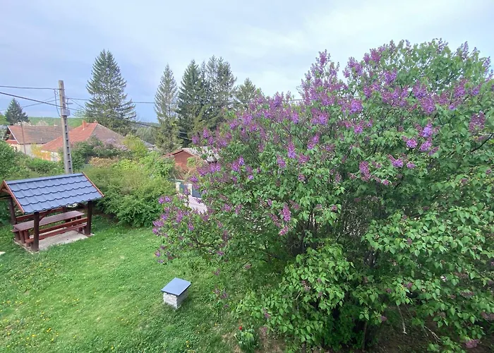 Lilako Apartman