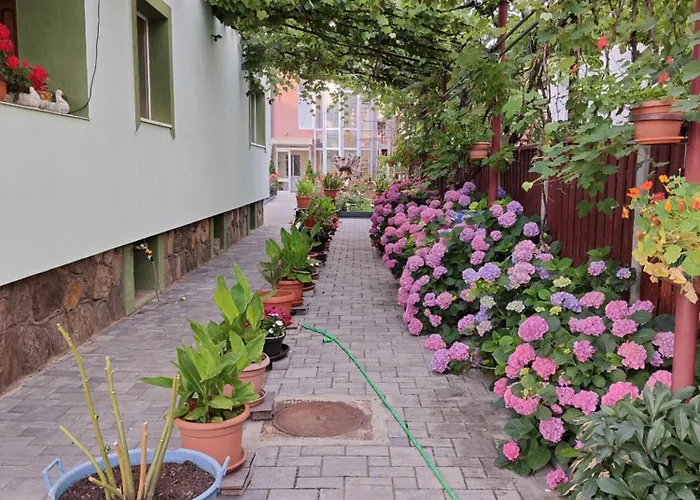 Rodica Apartment