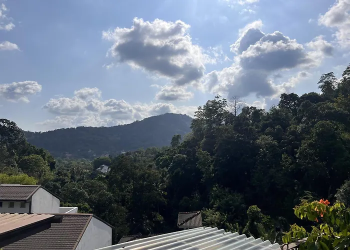 Canopy Villa