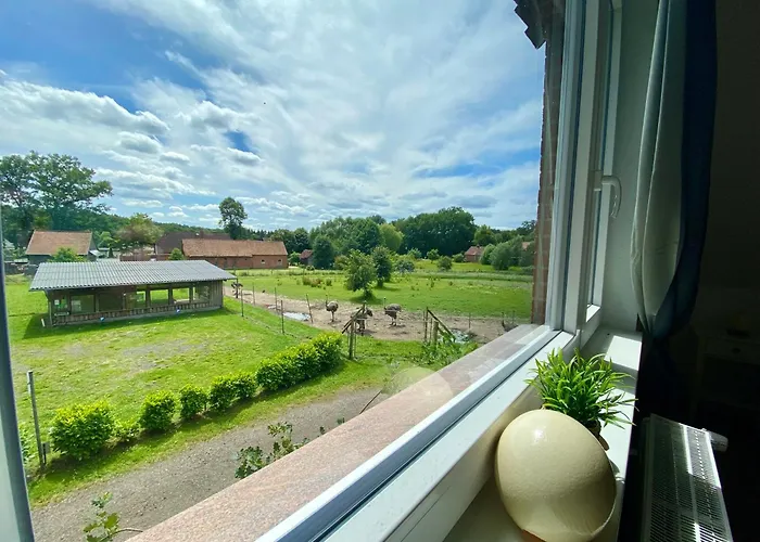 Ferienwohnung Straussenblick Dachgeschoss - Keine Monteure