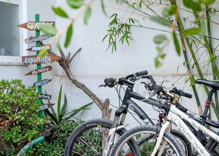 Natural Mystic Hostel