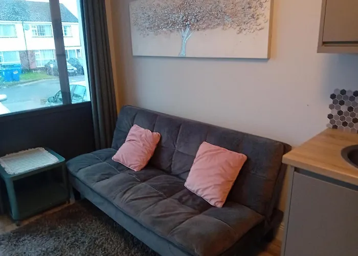 Compact One Bed Apartment Near University Of Limerick