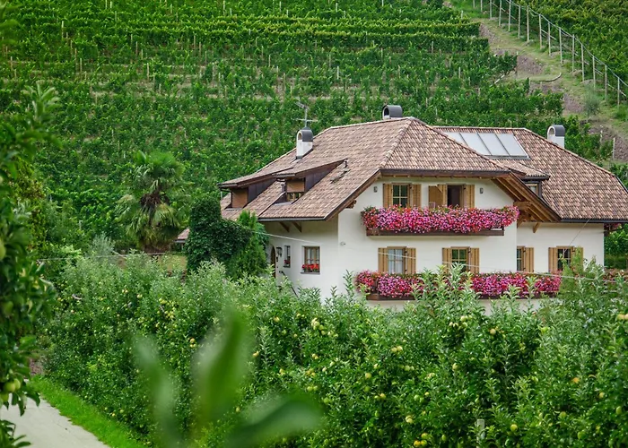 Spiegelhof