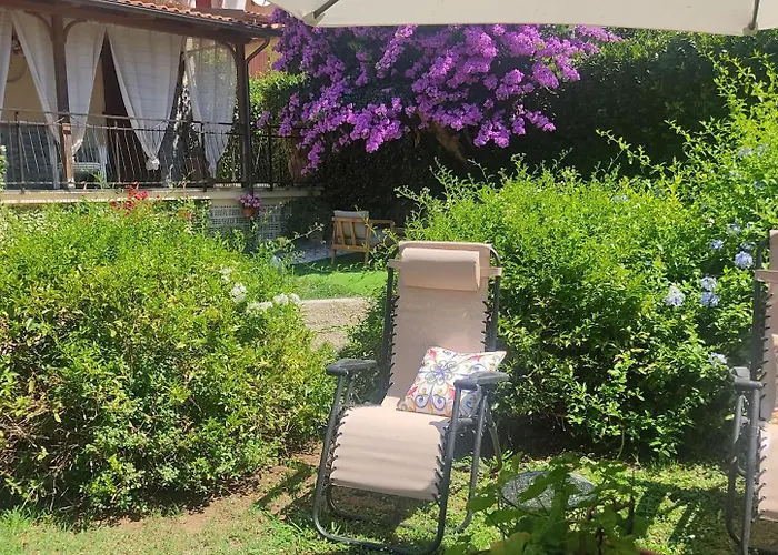 La Bouganville E Il Gelsomino