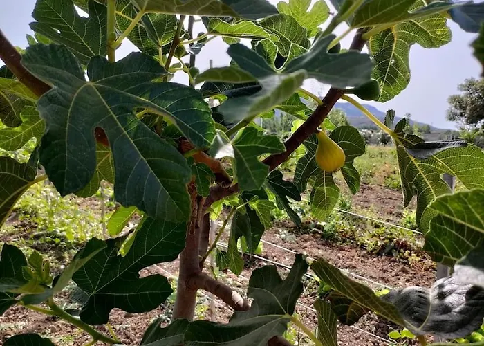 Appartamento Sulcis Sardegna