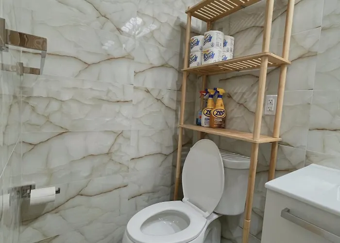 Beautiful Apartment Shared With The Host In The Heart Of Bushwick