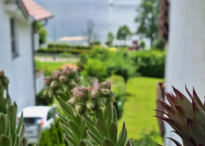 Seezeit! Apartment Mit Seeblick