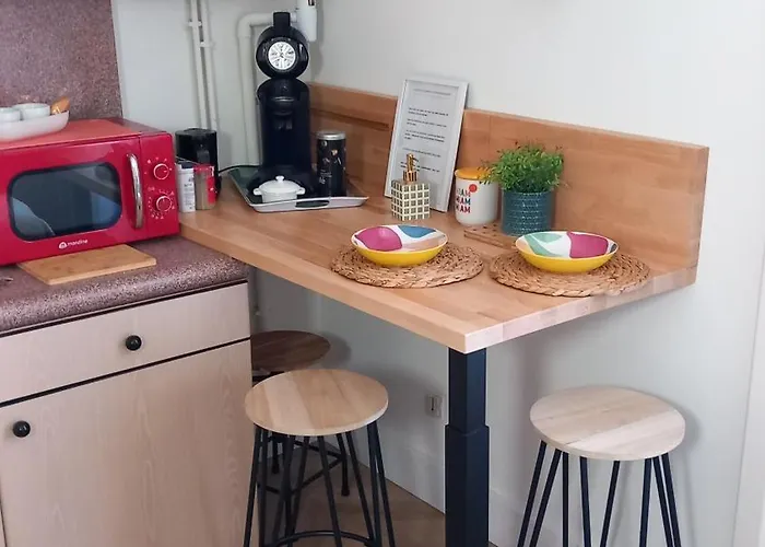 Studio Valliere Les Halles 15M2 Avec Clim