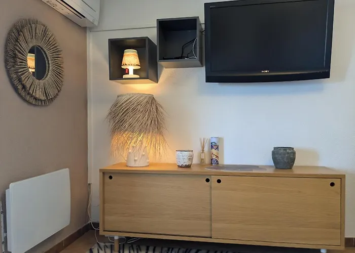 "Le Palmier Dore", Cosy T3 A 3 Minutes A Pied Des Plages, Parking Et Clim