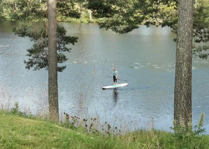 Forest, Fishing & Relax